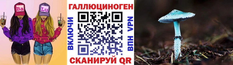Галлюциногенные грибы Psilocybine cubensis  Купить  Лениногорск 